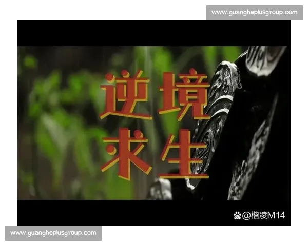 伤病阴影下的坚守与重生之路探索与未来希望追寻在逆境中绽放光芒